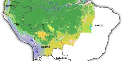 Map of Brazil forests