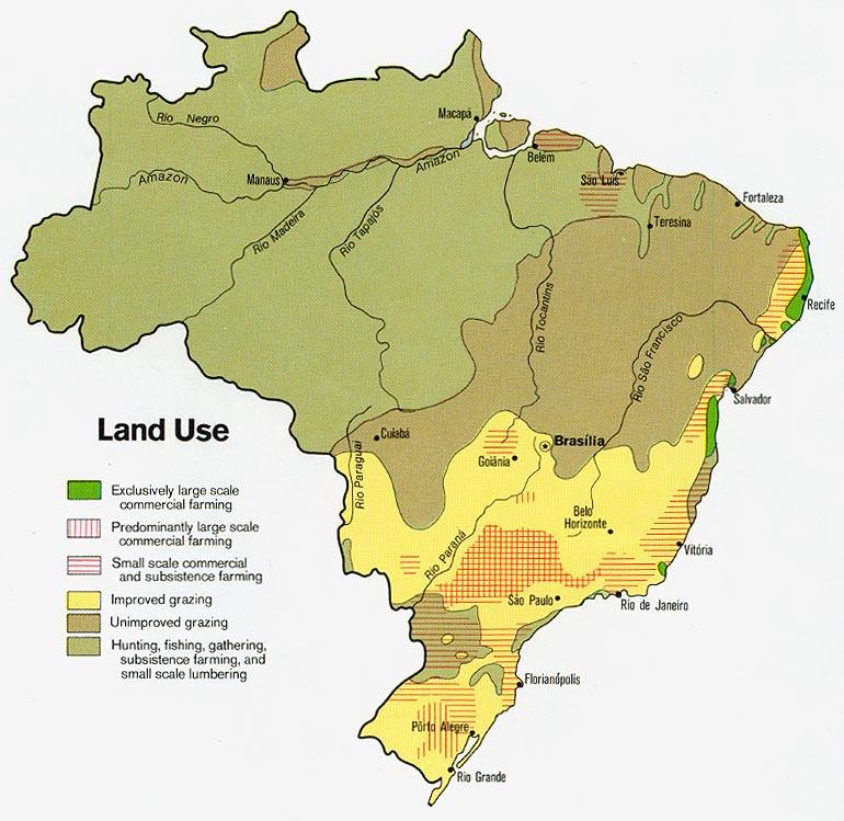 agriculture in brazil essay