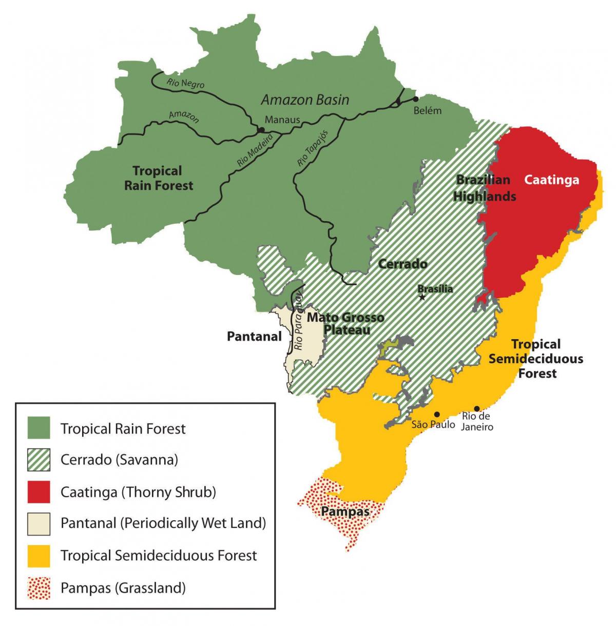 map of Brazil vegetation